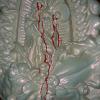 brenda_detail_18